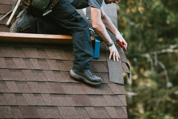 Best Local Roofing Companies  in Parkway, CA