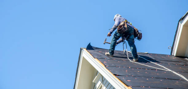 Best Roof Maintenance Services  in Parkway, CA